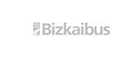 Bizkaibus